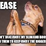 Chihuahua praying  | PLEASE; DON'T TAKE AWAY MY SLIM AND BOOST! I NEED THEM TO KEEP AWAY THE BIGGER DOGS | image tagged in chihuahua praying | made w/ Imgflip meme maker