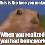 homework | This is the face you make; When you realized you had homework | image tagged in suprised chipmunk | made w/ Imgflip meme maker
