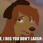 Please, I Beg You Don't Laugh At Me! | PLEASE, I BEG YOU DON'T LAUGH AT ME! | image tagged in dixie sad,memes,disney,the fox and the hound 2,reba mcentire,dog | made w/ Imgflip meme maker