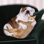 Interspecies Pride meme