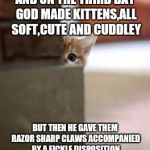 kitten | AND ON THE THIRD DAY GOD MADE KITTENS,ALL SOFT,CUTE AND CUDDLEY; BUT THEN HE GAVE THEM RAZOR SHARP CLAWS ACCOMPANIED BY A FICKLE DISPOSITION | image tagged in kitten | made w/ Imgflip meme maker