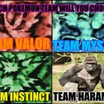legendary harambe | WHICH POKEMON TEAM WILL YOU CHOOSE? TEAM VALOR; TEAM MYSTIC; TEAM HARAMBE; TEAM INSTINCT | image tagged in legendary harambe | made w/ Imgflip meme maker