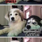 Bad Pun Puppy | DO YOU PLAY ANY DANGEROUS SPORTS ? WELL, I SOMETIMES ARGUE WITH ME WIFE !! | image tagged in bad pun puppy | made w/ Imgflip meme maker