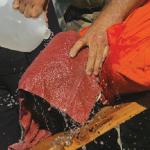 torture at guantanamo bay