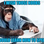 Mods At Work | I WISH THOSE NOOBS; WOULD LEARN HOW TO SPELL | image tagged in computer whiz,business chimp | made w/ Imgflip meme maker