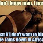 Toto | I don't know man, I just... What if I don't want to bless the rains down in Africa? | image tagged in toto basket wizard of oz,memes,dorothy,toto,1980s,africa | made w/ Imgflip meme maker
