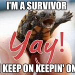 I never give in, I never give up! | I'M A SURVIVOR; I KEEP ON KEEPIN' ON | image tagged in yay,survivor,memes | made w/ Imgflip meme maker