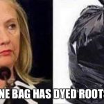 hillary bag of crap | ONE BAG HAS DYED ROOTS. | image tagged in hillary bag of crap | made w/ Imgflip meme maker
