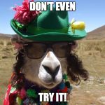 Party Llama | DON'T EVEN; TRY IT! | image tagged in party llama | made w/ Imgflip meme maker