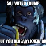 Banana Winston  | SO,I VOTED TRUMP; BUT YOU ALREADY KNEW DAT | image tagged in banana winston | made w/ Imgflip meme maker