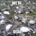 Reindeer Killed by Lightning | WE'RE... DEAD.. | image tagged in reindeer killed by lightning,i'm dead,memes | made w/ Imgflip meme maker
