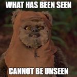 Wicket saw it all. | WHAT HAS BEEN SEEN; CANNOT BE UNSEEN | image tagged in demeted ewok,star wars,ewok | made w/ Imgflip meme maker