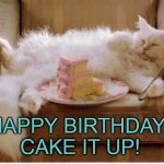 Birthday Fat Cat | HAPPY BIRTHDAY! CAKE IT UP! | image tagged in birthday fat cat | made w/ Imgflip meme maker
