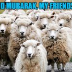 Happy Holidays to the Muslim Community! | EID MUBARAK, MY FRIENDS! | image tagged in sheep,eid mubarak,memes,morocco,islam,muslim | made w/ Imgflip meme maker