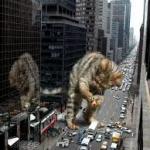 CATZILLA