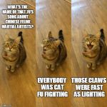 Bad Pun Cat | WHAT'S THE NAME OF THAT 70'S SONG ABOUT CHINESE FELINE MARTIAL ARTISTS? THOSE CLAWS WERE FAST AS LIGHTING; EVERYBODY WAS CAT FU FIGHTING | image tagged in bad pun cat | made w/ Imgflip meme maker