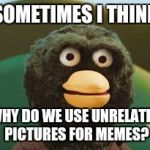 dhmis | SOMETIMES I THINK; WHY DO WE USE UNRELATED PICTURES FOR MEMES? | image tagged in dhmis | made w/ Imgflip meme maker