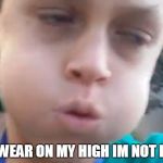 Im not that stoned | I SWEAR ON MY HIGH IM NOT LIFE | image tagged in im not that stoned | made w/ Imgflip meme maker