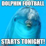 dolphin don't play games | DOLPHIN FOOTBALL; STARTS TONIGHT! | image tagged in dolphin don't play games | made w/ Imgflip meme maker