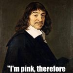 Descartes actually said, "Cogito ergo sum." | "Roseus sum ergo spamus sum."; "I'm pink, therefore I'm spam." | image tagged in rene descartes,memes,meme | made w/ Imgflip meme maker