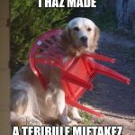 Dog stuck | I HAZ MADE; A TERIBULE MIFTAKEZ | image tagged in dog stuck | made w/ Imgflip meme maker