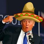 Sombrero trump