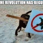 Lock up your cats because....  | THE REVOLUTION HAS BEGUN | image tagged in revolution dog,fight the power,the man,revolution,dog,iwanttobebacon | made w/ Imgflip meme maker