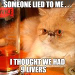 Beer Cat | SOMEONE LIED TO ME . . . I THOUGHT WE HAD 9 LIVERS | image tagged in beer cat | made w/ Imgflip meme maker