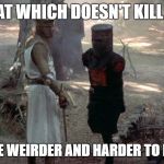 Black Knight | THAT WHICH DOESN'T KILL ME; MAKES ME WEIRDER AND HARDER TO RELATE TO | image tagged in black knight,monty python,that which doesn't kill me,tis but a scratch | made w/ Imgflip meme maker