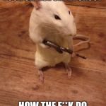 Rebellious Rat | ALRIGHT CATS GIVE ME YOUR CHEESE OR I'LL SHOOT; HOW THE F**K DO YOU WORK THIS THING | image tagged in rebellious rat | made w/ Imgflip meme maker