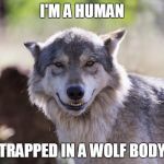 Wolf Smiling | I'M A HUMAN; TRAPPED IN A WOLF BODY | image tagged in wolf smiling | made w/ Imgflip meme maker