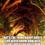 The roots of education are bitter, but the fruit is sweet.  | THAT'S THE THING ABOUT ROOTS: YOU NEVER KNOW HOW DEEP THEY ARE UNTIL YOU PULL THEM UP. | image tagged in the roots of education are bitter but the fruit is sweet.  | made w/ Imgflip meme maker