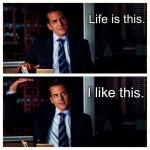 harvey specter life is like this