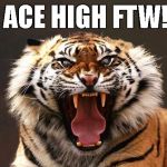 Tiger roaring | ACE HIGH FTW! | image tagged in tiger roaring | made w/ Imgflip meme maker