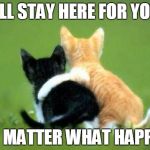 Cats Promise | I'LL STAY HERE FOR YOU; NO MATTER WHAT HAPPEN | image tagged in memes,cats | made w/ Imgflip meme maker