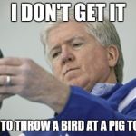 Brian Burke On The Phone | I DON'T GET IT; I HAVE TO THROW A BIRD AT A PIG TO WIN? | image tagged in memes,brian burke on the phone | made w/ Imgflip meme maker