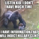 This made me laugh.  Sorry if it's a repost. | LISTEN KID, I DON'T HAVE MUCH TIME; I HAVE INFORMATION THAT WILL INDICT HILLARY CLINT... | image tagged in harambe,memes,funny,hillary,fbi,email scandal | made w/ Imgflip meme maker