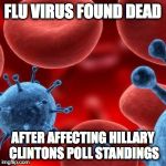 virus  | FLU VIRUS FOUND DEAD; AFTER AFFECTING HILLARY CLINTONS POLL STANDINGS | image tagged in virus | made w/ Imgflip meme maker