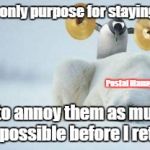 Penguin With Cymbals | My only purpose for staying; Postal Management; Is to annoy them as much as possible before I retire | image tagged in penguin with cymbals | made w/ Imgflip meme maker