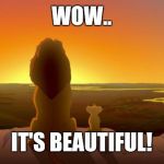 Lion King McDonalds | WOW.. IT'S BEAUTIFUL! | image tagged in lion king mcdonalds | made w/ Imgflip meme maker