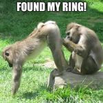 monkeyass | FOUND MY RING! | image tagged in monkeyass | made w/ Imgflip meme maker