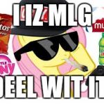 cant defeet mlg proz | I IZ MLG; DEEL WIT IT! | image tagged in mlg pony,memes,mlg,pony | made w/ Imgflip meme maker