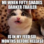 confused cat | ME WHEN FIFTY SHADES DARKER TRAILER; IS IN MY FEED SIX MONTHS BEFORE RELEASE | image tagged in confused cat | made w/ Imgflip meme maker