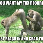 Wow, the debates are getting serious  | IF YOU WANT MY TAX RECORDS... ...JUST REACH IN AND GRAB THEM. | image tagged in monkeyass,funny memes | made w/ Imgflip meme maker