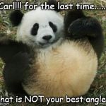 Carl the poser panda | Carl!!! for the last time...... that is NOT your best angle!! | image tagged in meanwhile in pandaland,carl the panda,drunk panda,panda,cute panda,full moon | made w/ Imgflip meme maker