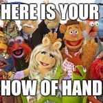 Muppets | HERE IS YOUR; SHOW OF HANDS | image tagged in muppets | made w/ Imgflip meme maker