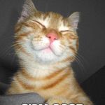Smug Cat | S'ALL GOOD | image tagged in smug cat | made w/ Imgflip meme maker