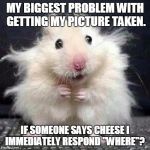Stressed Mouse | MY BIGGEST PROBLEM WITH GETTING MY PICTURE TAKEN. IF SOMEONE SAYS CHEESE I IMMEDIATELY RESPOND "WHERE"? | image tagged in stressed mouse | made w/ Imgflip meme maker