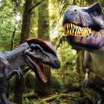 dino3
