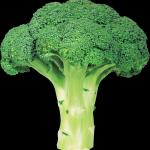 broccoli meme